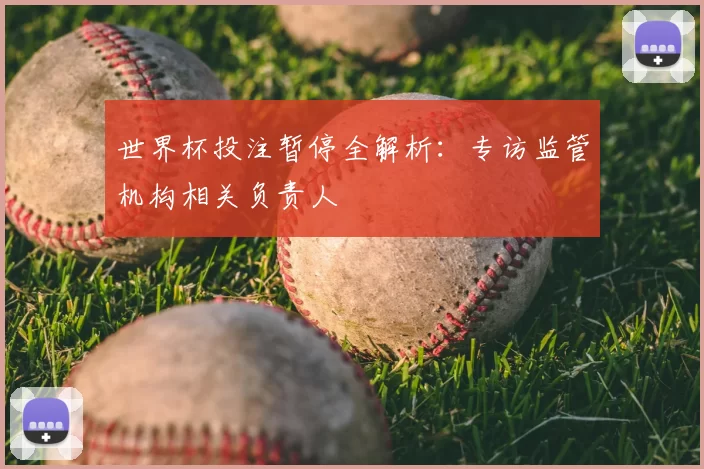 世界杯投注暂停全解析：专访监管机构相关负责人