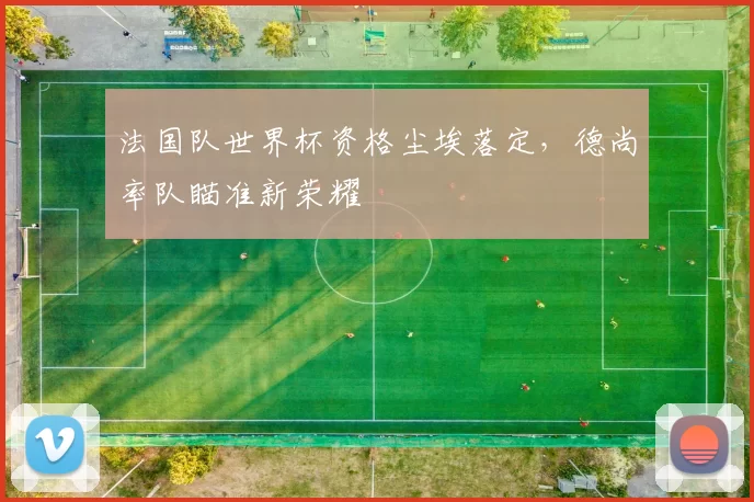 法国队世界杯资格尘埃落定，德尚率队瞄准新荣耀