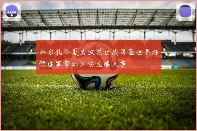 加尔扎今夏为波黑出战男篮世界杯预选赛弩机因伤无缘大赛