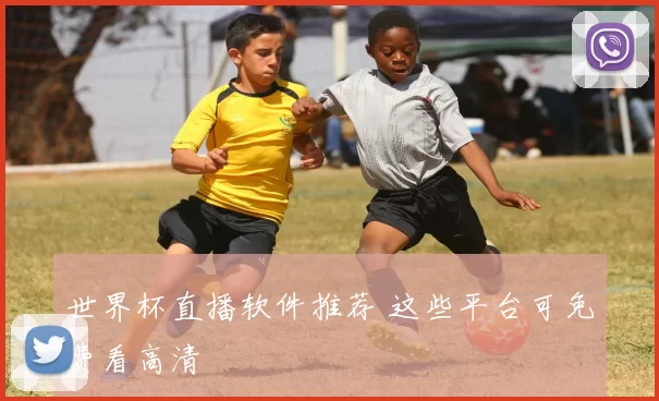 世界杯直播软件推荐 这些平台可免费看高清