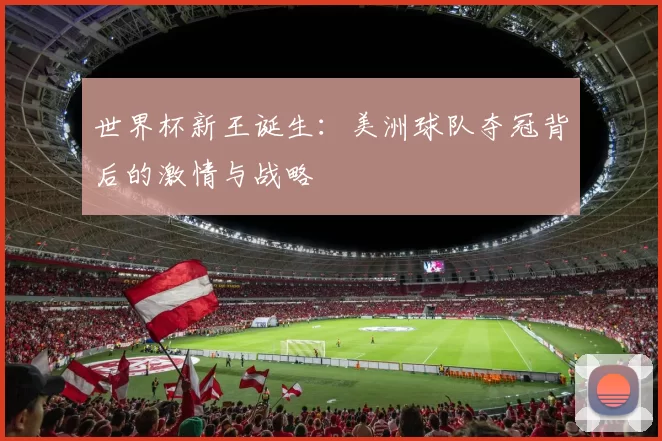 世界杯新王诞生:美洲球队夺冠背后的激情与战略