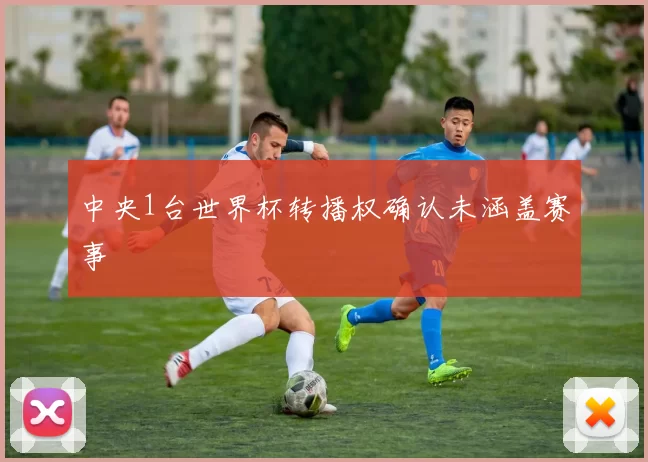 中央1台世界杯转播权确认未涵盖赛事