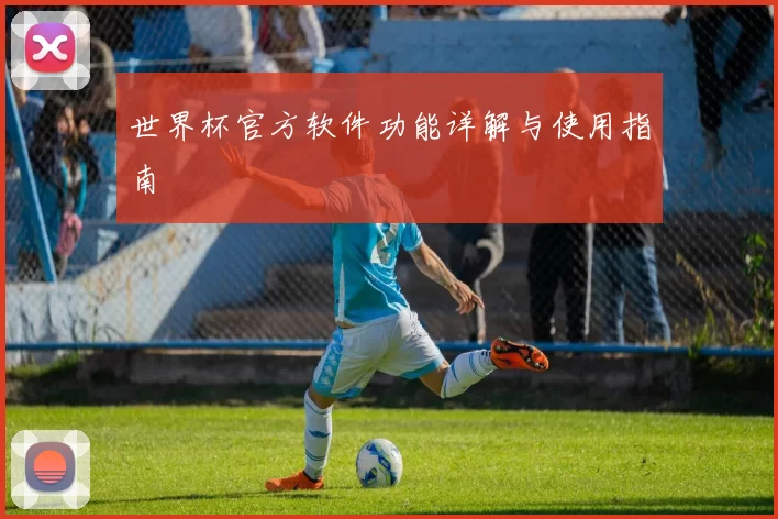 世界杯官方软件功能详解与使用指南