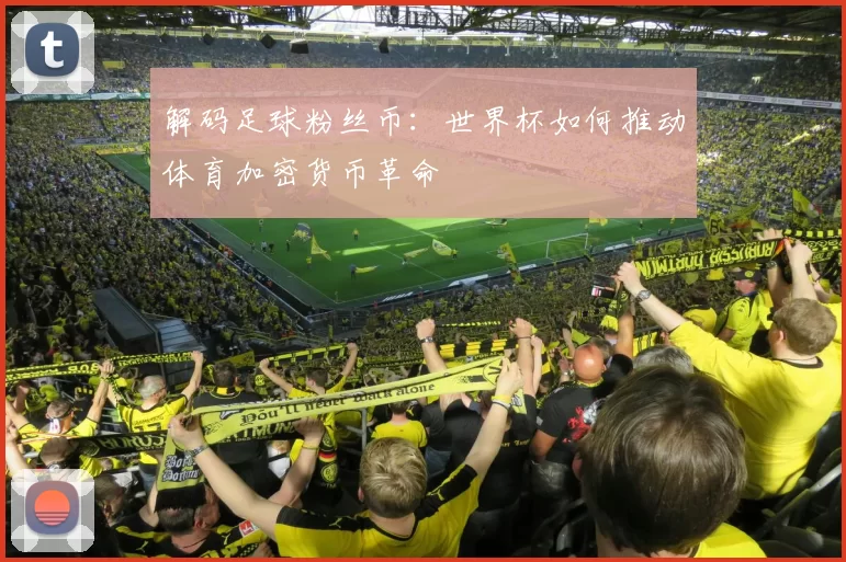 解码足球粉丝币：世界杯如何推动体育加密货币革命