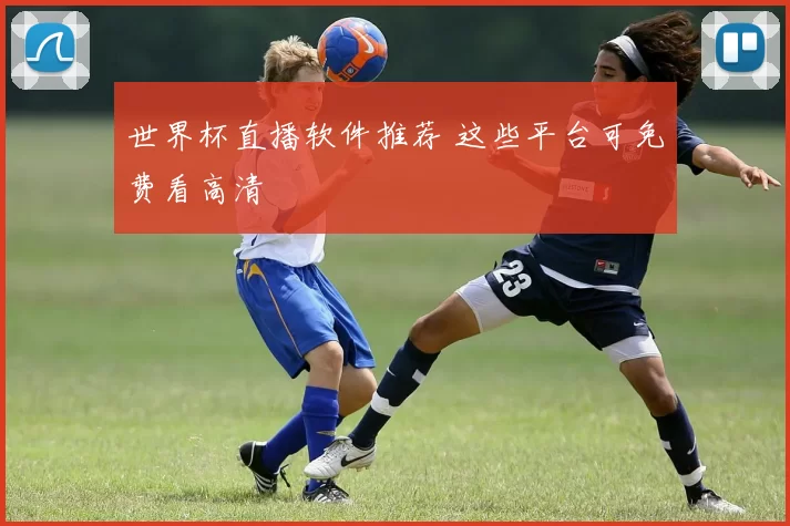 世界杯直播软件推荐 这些平台可免费看高清